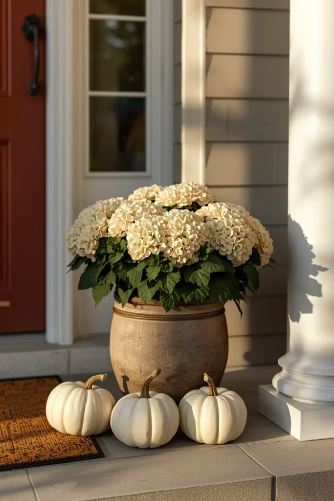 19 Fall Planter Ideas That Bring Instant Curb Appeal 20 front porch, featuring a planter filled with cream mums and nestled white pumpkins,